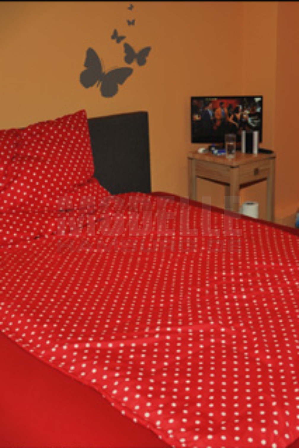 Freudenhaus Winterhude